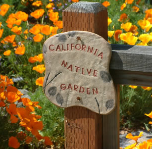 Cal Native Gardens